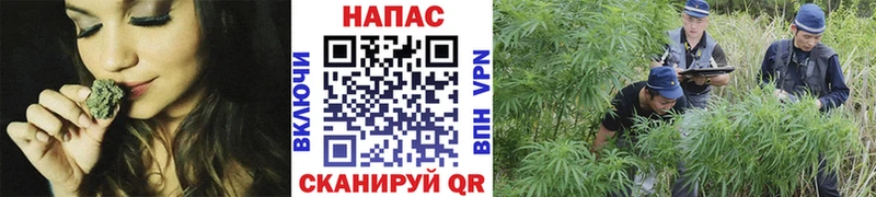 Каннабис индика где купить наркотик Ханты-Мансийск